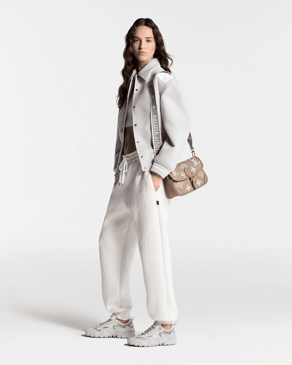 Louis Vuitton M46583 Diane