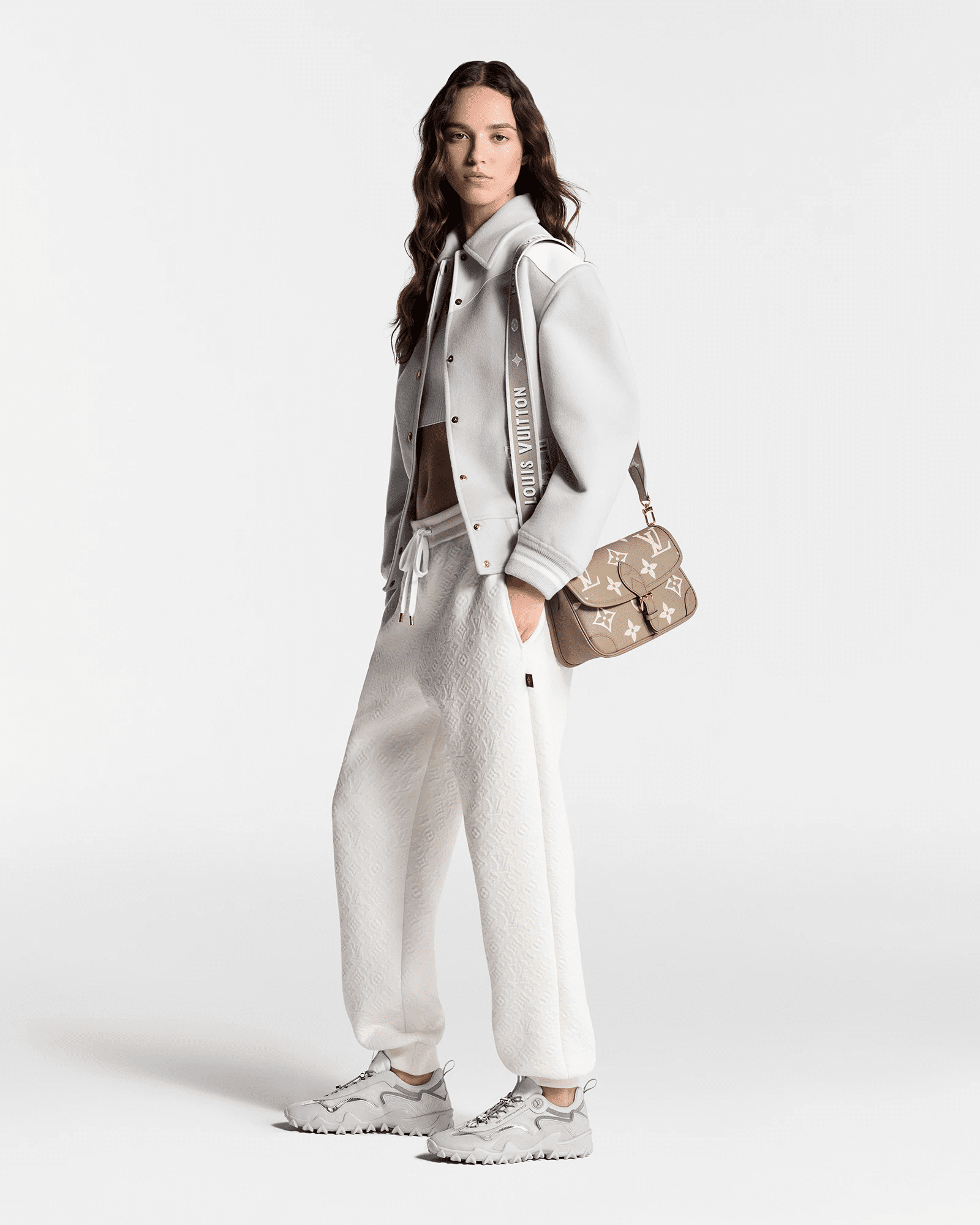 Louis Vuitton M46583 Diane