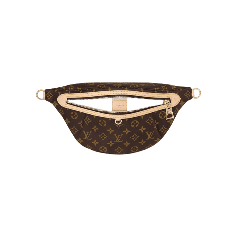 Louis Vuitton New Bumbag Monogram High Rise bag