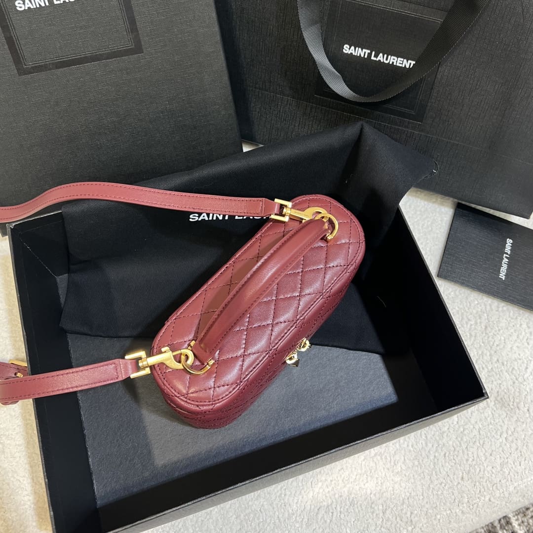 Saint Laurent gaby vanity bag in lambskin