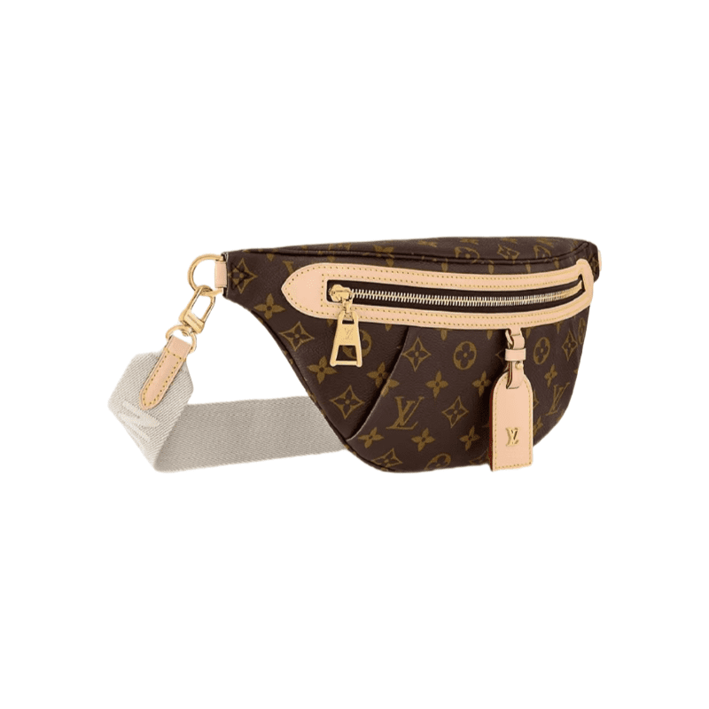 Louis Vuitton New Bumbag Monogram High Rise bag