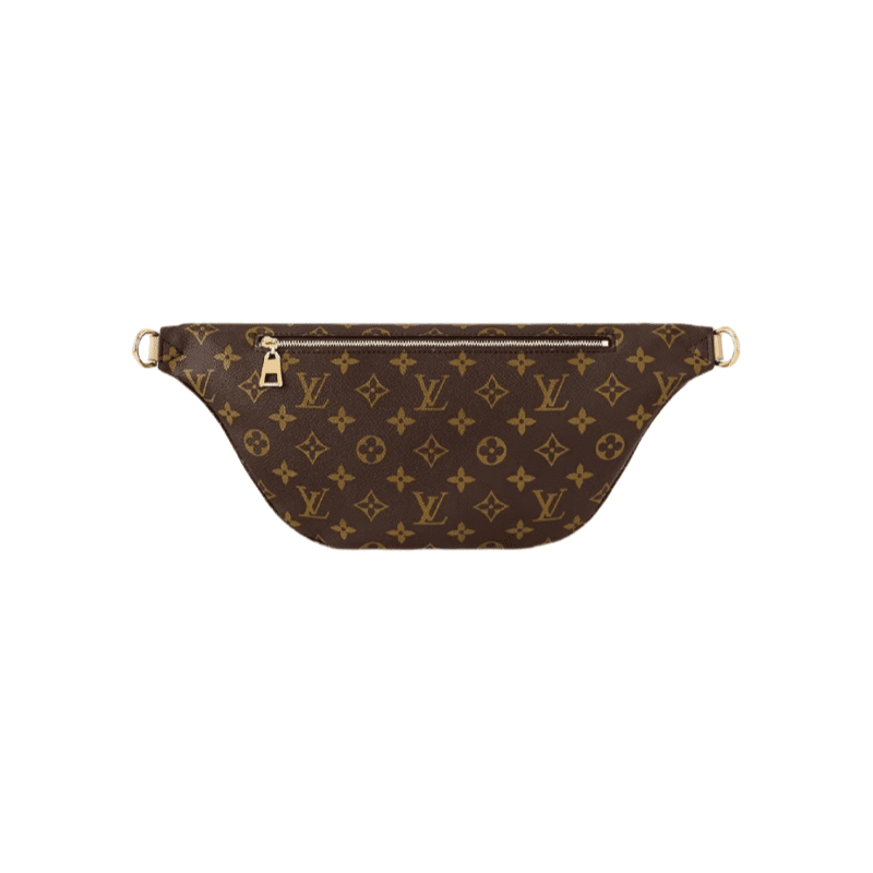 Louis Vuitton New Bumbag Monogram High Rise bag